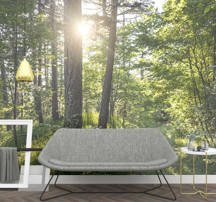 Papel mural naturaleza sendero luminoso en el bosque - TenVinilo