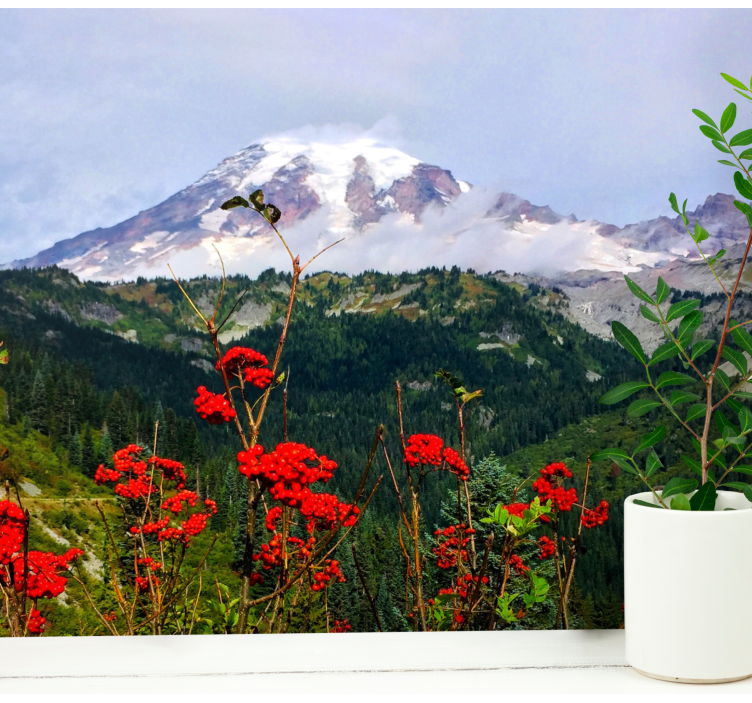 Papel mural paisajes montaña nevada - TenVinilo