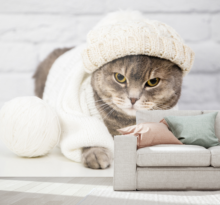 Fotomural pared animales gato bonito vestido - TenVinilo