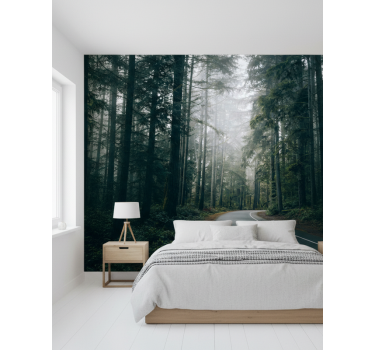Papel mural bosque camino de pinos nebulosos - TenVinilo