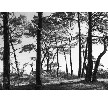 Papel mural bosque bosque de pinos ink - TenVinilo