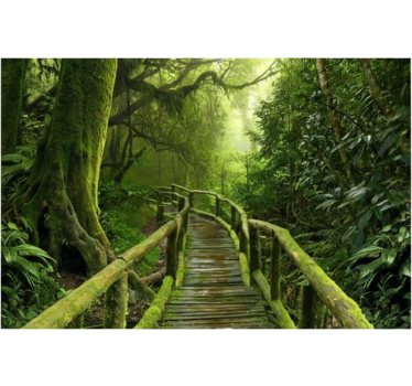 Papel mural bosque pasarela musgosa lujosa - TenVinilo