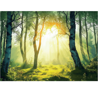 Papel mural bosque abeto bañado por el sol - TenVinilo