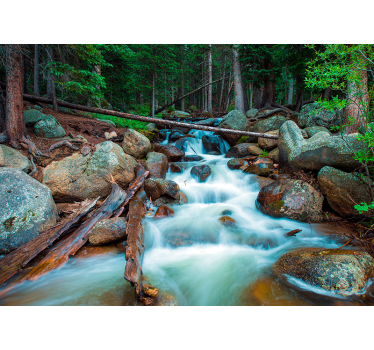 Fotomural paisaje cascada de agua y bosque - TenVinilo