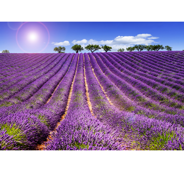Fotomural de flores campo de lavanda - TenVinilo