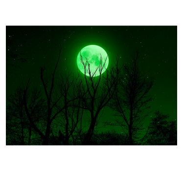 Papel mural de cielo con luna en color verde - TenVinilo