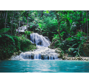 Fotomural de paisaje bosque tropical para salón - TenVinilo