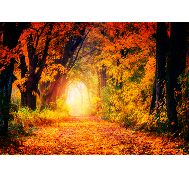 Papel pintado paisaje bosque frondoso otoñal - TenVinilo