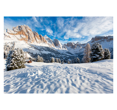 Papel mural paisaje montañas y bosque nevados - TenVinilo