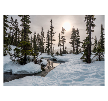 Papel pintado paisaje nevado con sol de invierno - TenVinilo