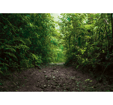 Papel mural naturaleza sendero verde vibrante - TenVinilo