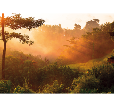 Papel mural naturaleza paisaje woodland tranquilo - TenVinilo