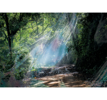 Fotomural de naturaleza Bosque de efecto de profundidad 3d - TenVinilo