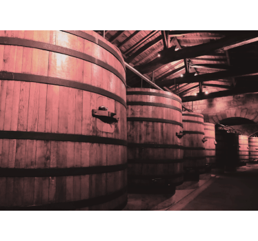 Fotomural vintage Grandes barriles de vino viejos - TenVinilo