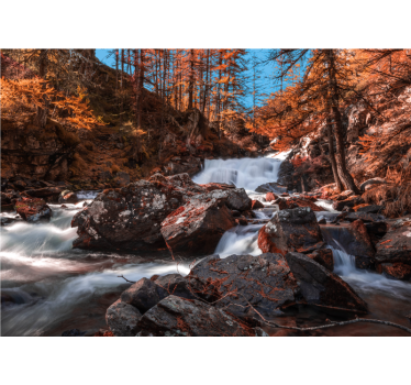 Foto mural 3d paisaje de río con árboles y rocas - TenVinilo