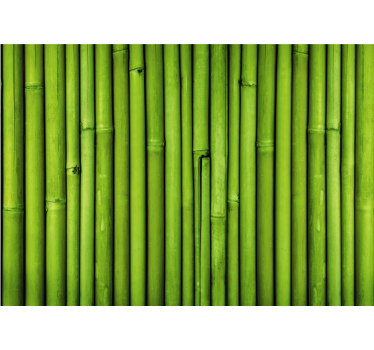 Fotomural para baño mural de pared pasillo del baño con bambus - TenVinilo