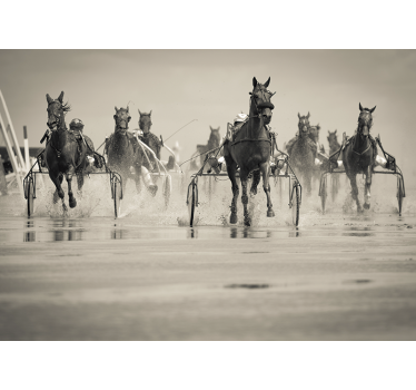 Mural animal Corriendo grupo de caballos - TenVinilo