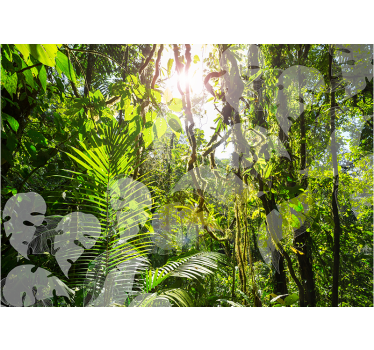 Papel mural naturaleza refugio de exuberante vegetación - TenVinilo