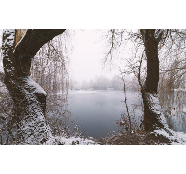 Fotomural de naturaleza Lago con árboles nevados - TenVinilo