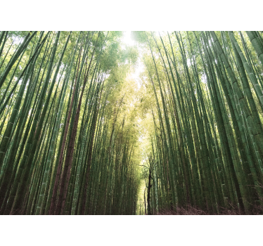 Mural bambú Bosque de bambú verde zen - TenVinilo