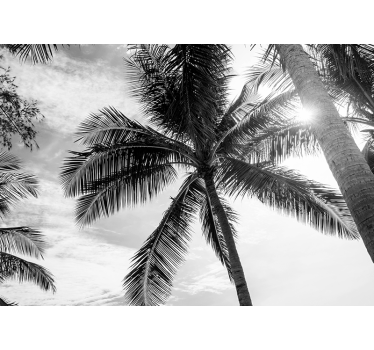 Fotomural árbol Palma en blanco y negro - TenVinilo