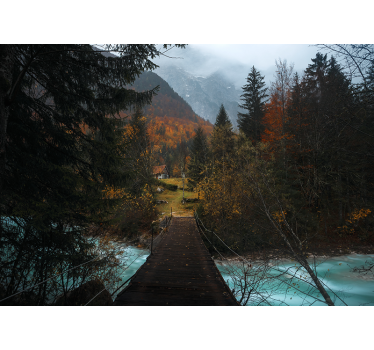 Fotomural bosque Puente en el bosque - TenVinilo
