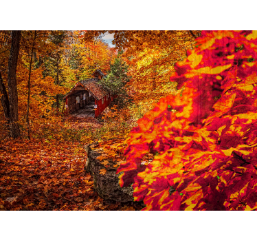 Papel mural paisajes paisaje de cabaña en otoño - TenVinilo