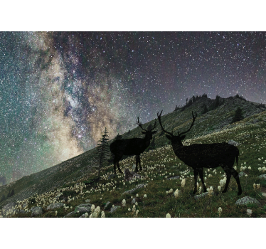 Papel mural bosque ciervos de la noche estrellada - TenVinilo