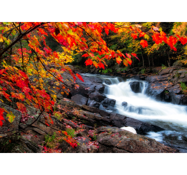 Papel mural bosque paisaje de cascadas en otoño - TenVinilo