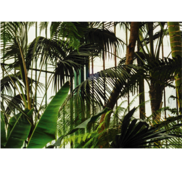 Papel mural naturaleza follaje tropical vivo - TenVinilo