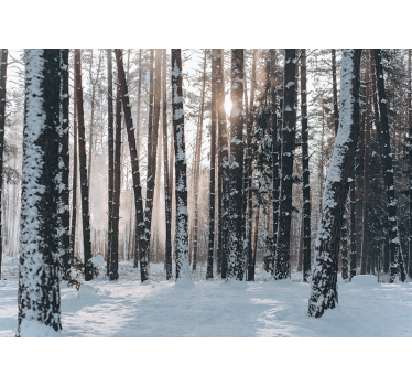 Fotomural bosque Bosque blanco - TenVinilo