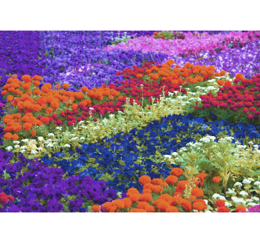 Papel mural flores campo colorido - TenVinilo