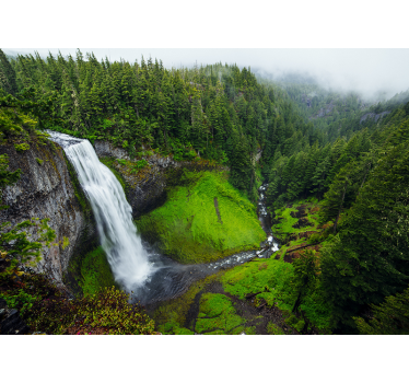 Papel mural naturaleza cascada verde frondosa - TenVinilo