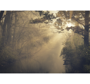 Fotomural bosque Altos árboles verdes con llamarada solar - TenVinilo