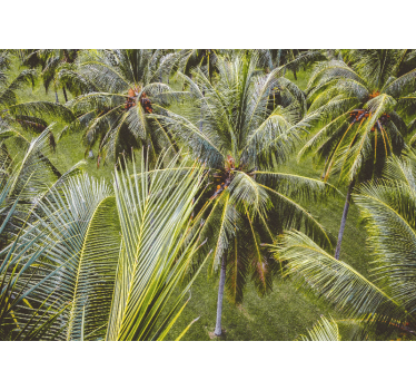 Papel mural naturaleza hojas de palma exuberantes - TenVinilo