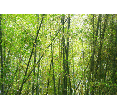 Mural de bambú bosque de bambú vibrante - TenVinilo