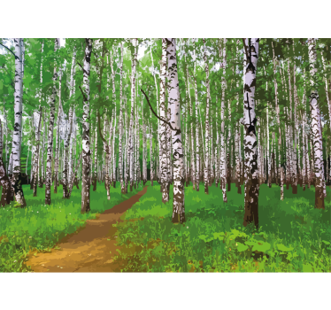 Papel mural naturaleza sendero del bosque de abedules - TenVinilo