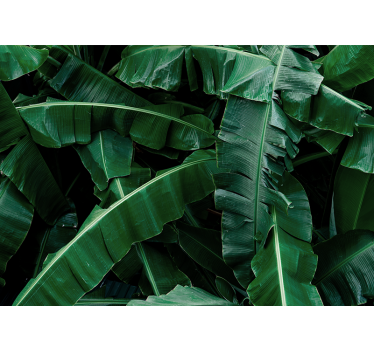 Papel mural naturaleza follaje verde vibrante - TenVinilo