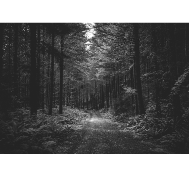 Fotomural bosque Camino blanco y negro - TenVinilo