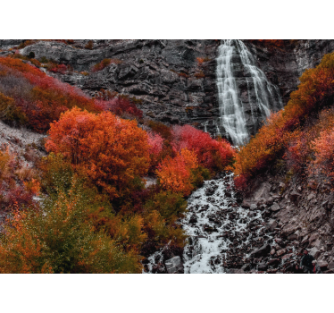 Fotomural cascada paisaje de otoño - TenVinilo