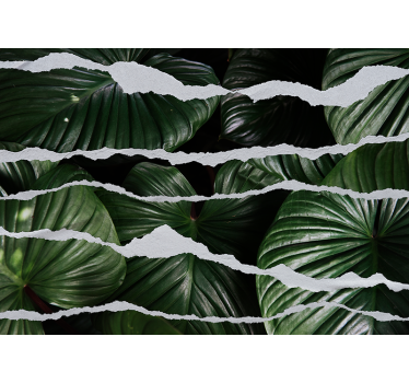 Papel mural naturaleza diseño de hojas lujosas - TenVinilo