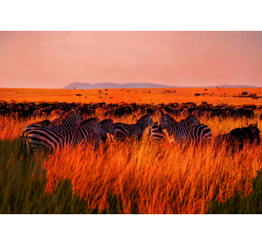 Papel mural naturaleza cebras en el serengeti - TenVinilo