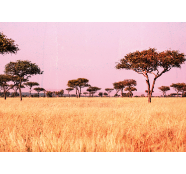 Fotomurales africanos Sabana africana original - TenVinilo