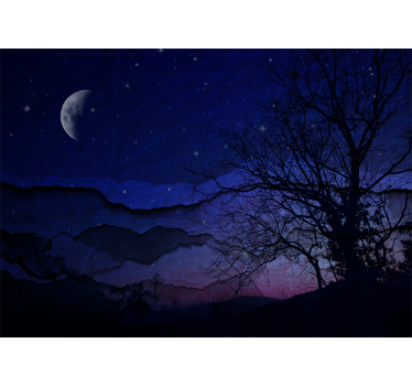 Papel mural cielo noche estrellada iluminada - TenVinilo