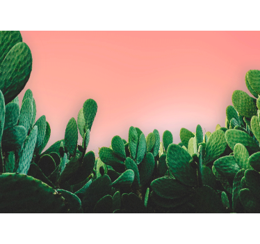 Papel mural naturaleza paisaje de cactus - TenVinilo