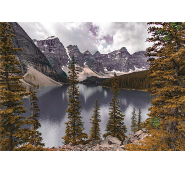 Mural lago Fotografía estética del bosque canadiense - TenVinilo