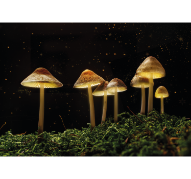 Papel mural naturaleza escena de setas brillantes - TenVinilo