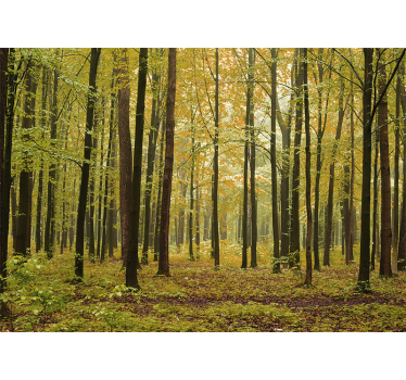 Fotomural de naturaleza Bosque "cottagecore" - TenVinilo