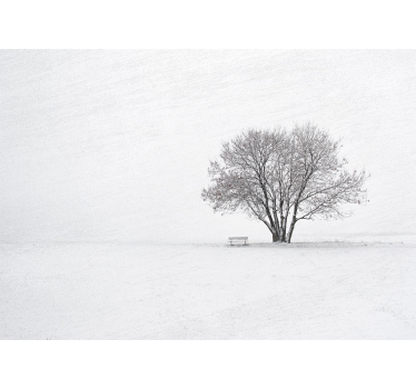 Papel mural naturaleza Árbol solitario nevado - TenVinilo