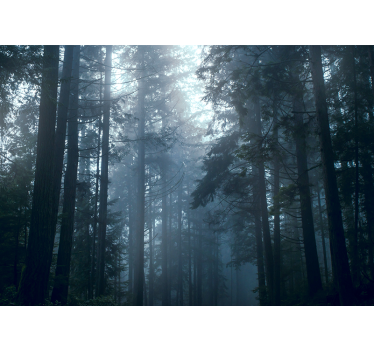 Fotomural árbol árboles bosque neblinoso - TenVinilo